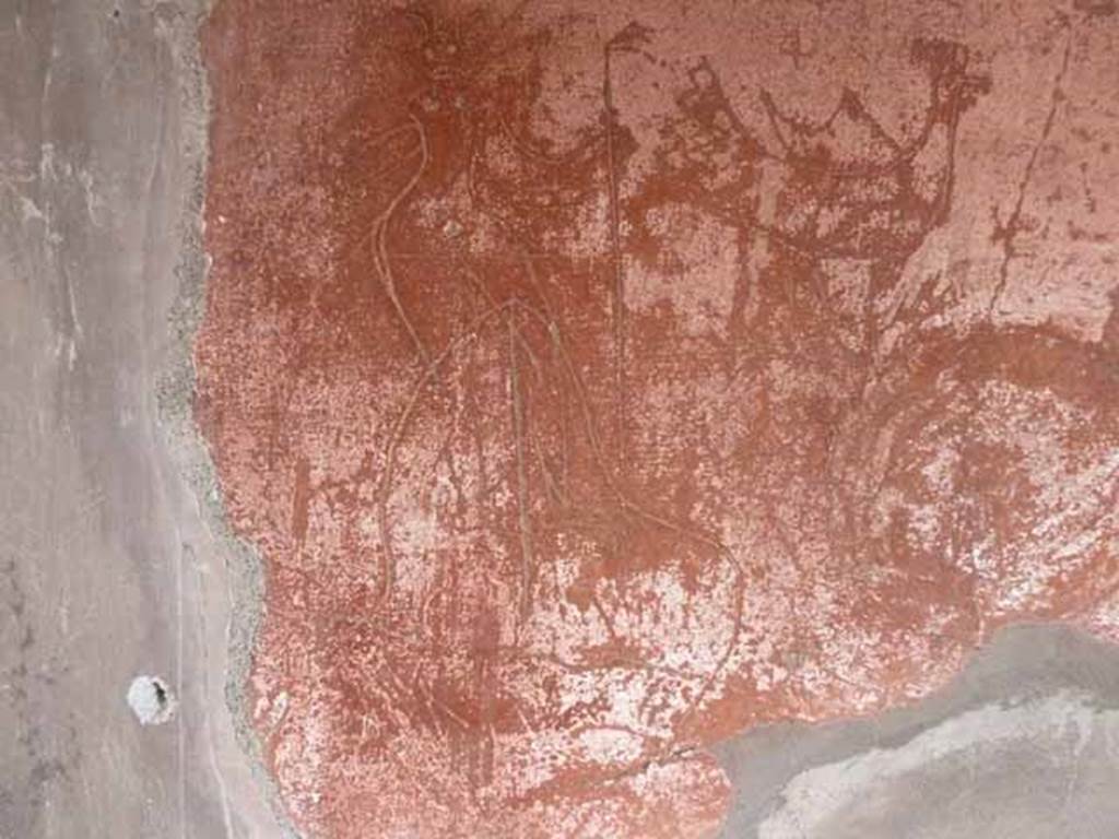 V.1 Herculaneum. May 2010. Room 2, east end of south wall. According to Maiuri, “a larger room on the left (of the entrance corridor) has walls with a red ground and rough graffiti”.
See Maiuri, A. (1977). Herculaneum. (No.53 in a series of guide books, 7th English edition), (p.41)